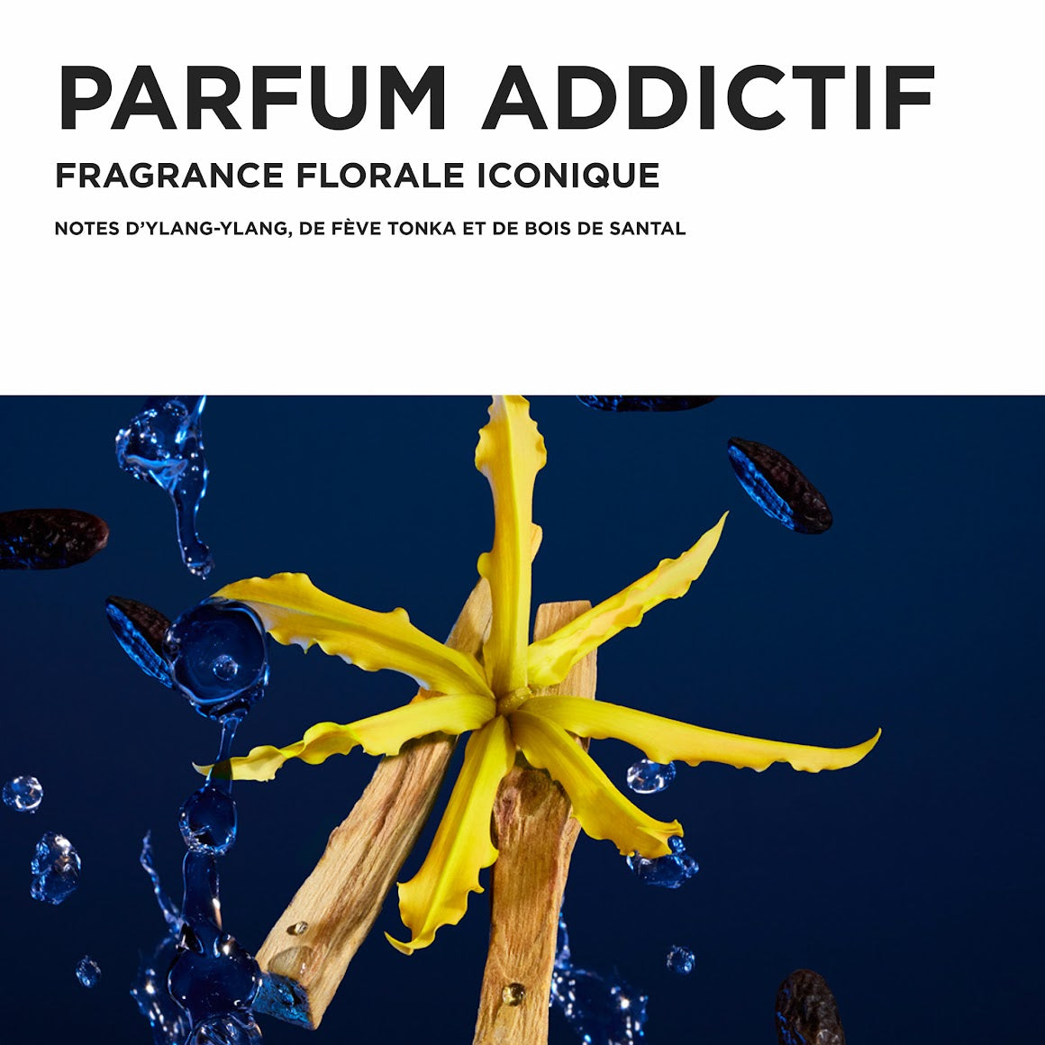 Coffret des fêtes trio Nutritive - Kérastase