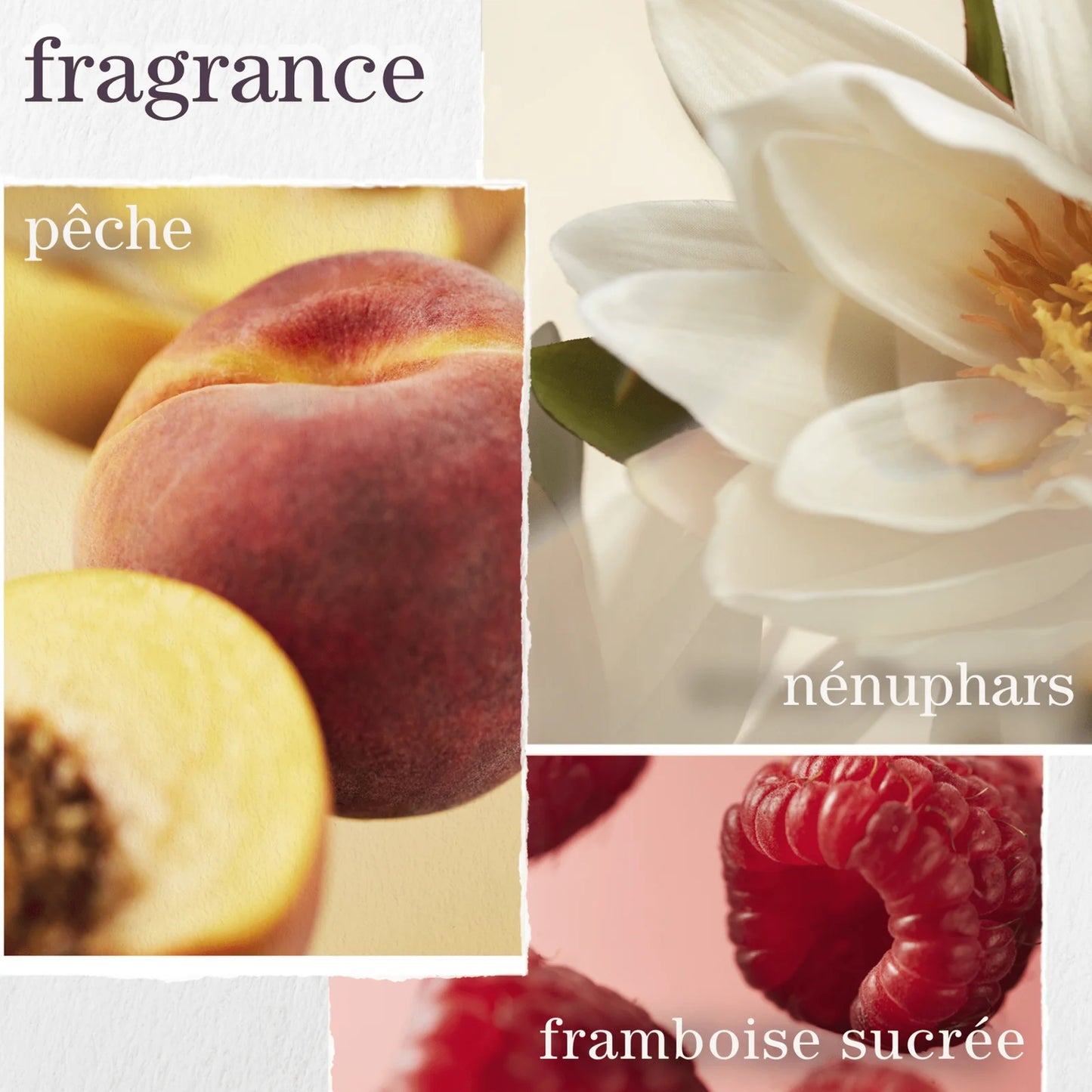 Coffret des Fêtes Strenght Cure - Pureology