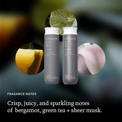 Revitalisant pour des cheveux ternes et secs 1000 ml Perfect Hair Day - Living Proof