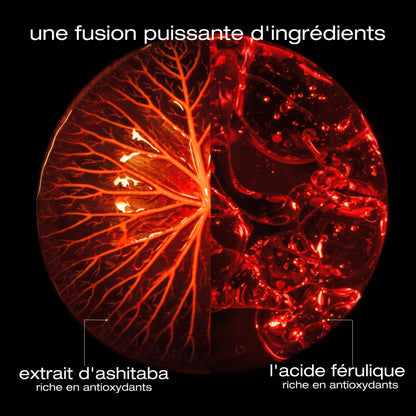 Routine Revitalisation Intense Anti-frisottis & Brillance pour cheveux moyens à épais Ashita suprême - Shu uemura