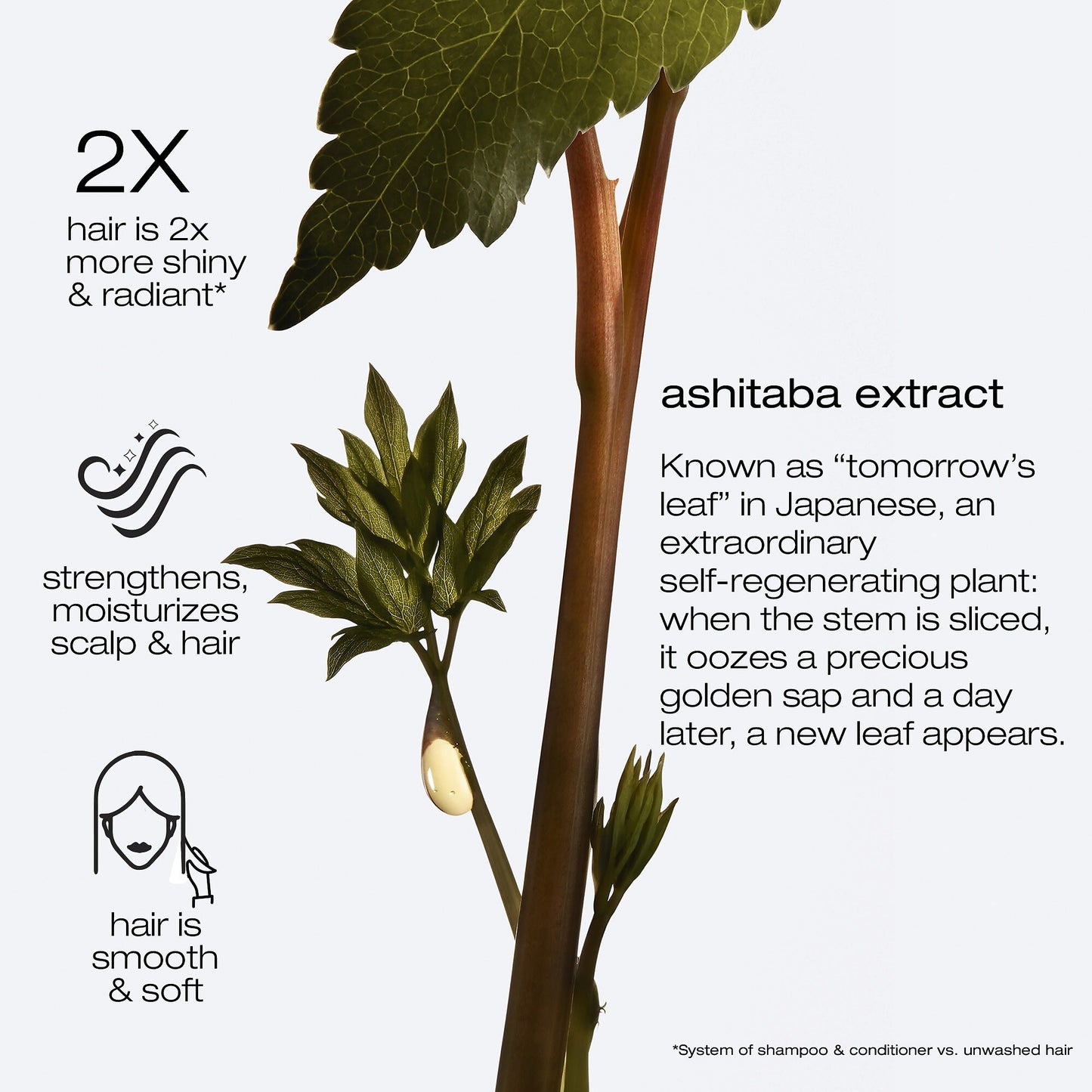 Routine Anti-frisottis & Brillance pour cheveux fins à moyens Ashita suprême - Shu Uemura