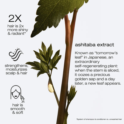 Routine Anti-frisottis & Brillance pour cheveux fins à moyens Ashita suprême - Shu Uemura